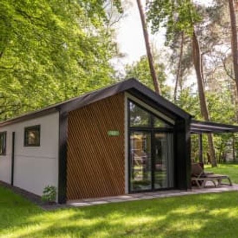 Chalet 4 personen - Noordhout