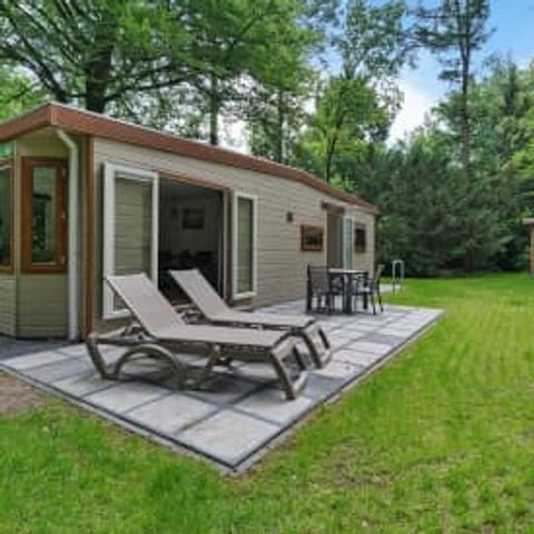 Chalet 3 personen - Dartheide