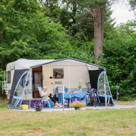 Kampeerplaats - Comfortplaats