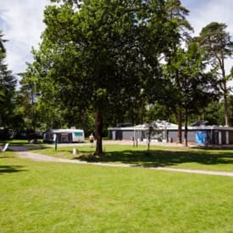 Kampeerplaats - Comfortplaats