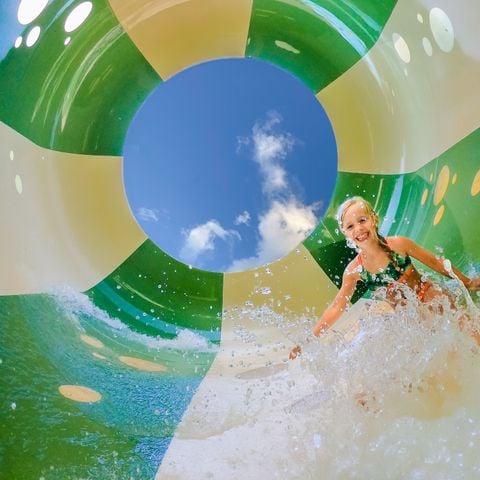 RCN Vakantiepark het Grote Bos - Camping Utrechtse Heuvelrug - Afbeelding N°5