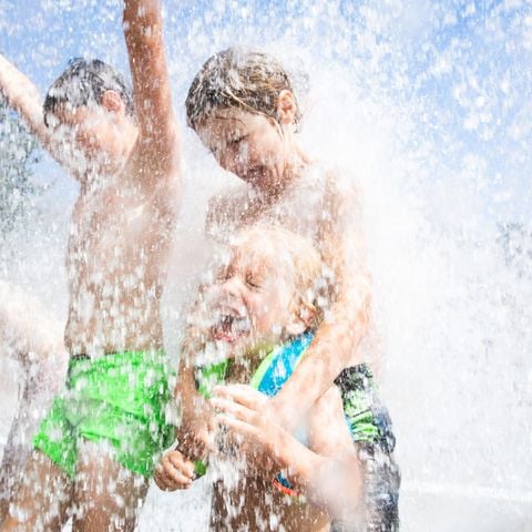 RCN Vakantiepark het Grote Bos - Camping Utrechtse Heuvelrug - Afbeelding N°6