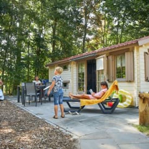 Chalet 4 personen - Chalet de camping het Gangboord