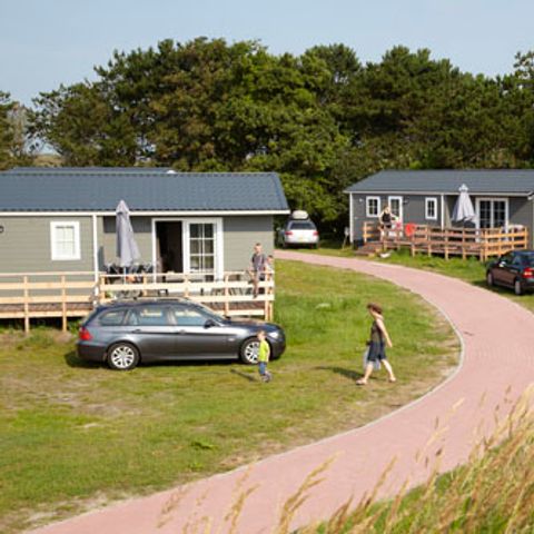 Texelcamping Loodsmansduin - Camping Texel - Afbeelding N°4
