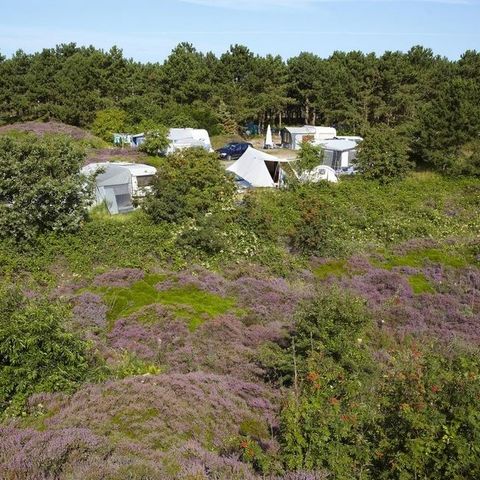 Texelcamping Loodsmansduin - Camping Texel - Afbeelding N°6