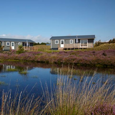 Texelcamping Loodsmansduin - Camping Texel - Afbeelding N°5