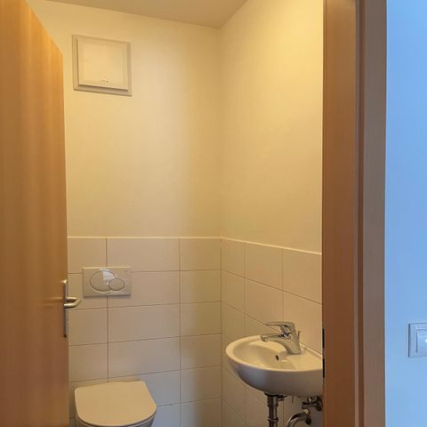 APPARTEMENT 4 personen - Gosausee