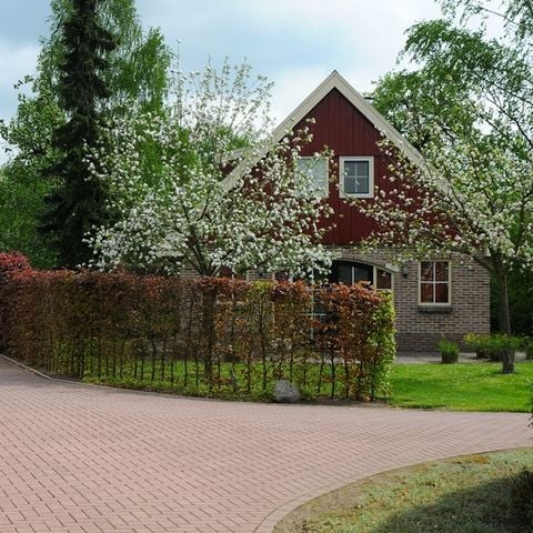Buitenplaats In den Olden Bongerd - Camping Winterswijk - Afbeelding N°2