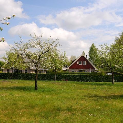 Buitenplaats In den Olden Bongerd - Camping Winterswijk - Afbeelding N°3
