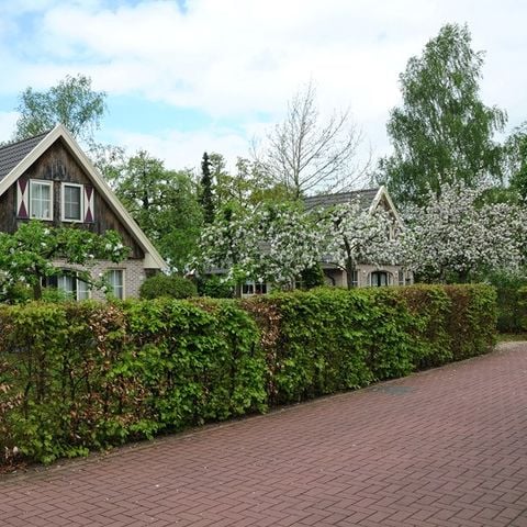 Buitenplaats In den Olden Bongerd - Camping Winterswijk - Afbeelding N°6