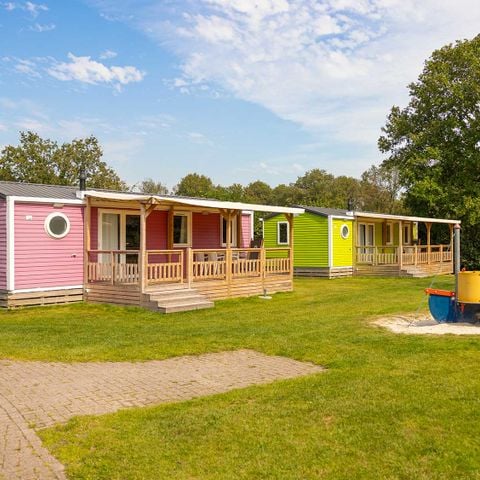 Chalet 6 personen - Korenbloem
