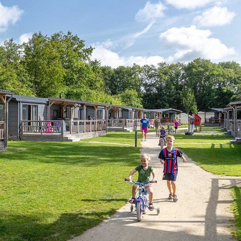 Chalet 6 personen - Lijster