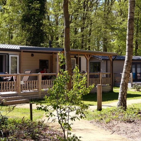 Chalet 6 personen - Fluitenkruid