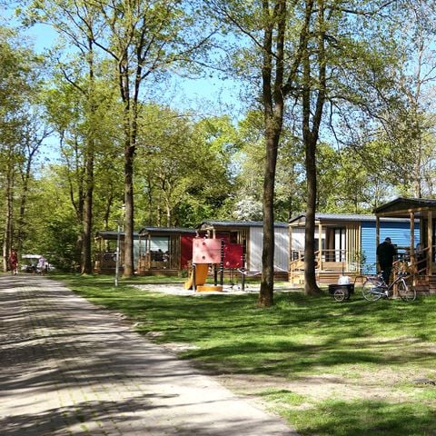 Chalet 4 personen - 2+2 (tot 12 jaar) Goudhaver