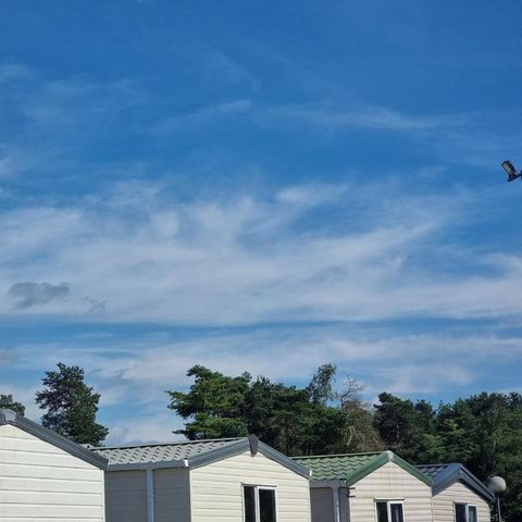 Verblijfpark Breebos - Camping Antwerpen - Afbeelding N°2