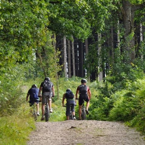 Verblijfpark Ardinam - Camping Namen - Afbeelding N°3