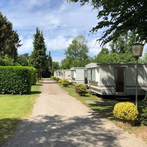 Ferienpark Eifellux - Camping Rijnland-Palts - Afbeelding N°2