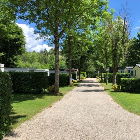Ferienpark Eifellux - Camping Rijnland-Palts - Afbeelding N°6