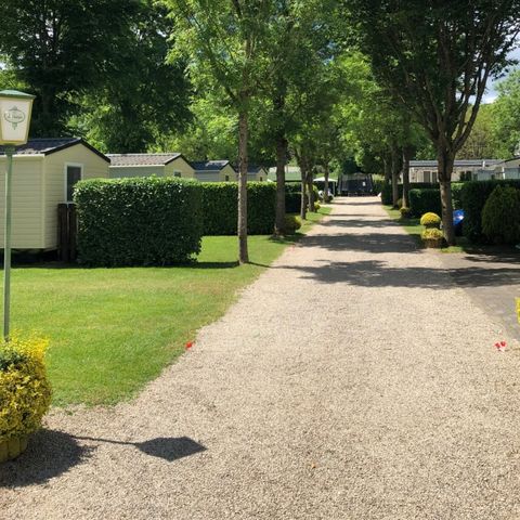 Ferienpark Eifellux - Camping Rijnland-Palts - Afbeelding N°3