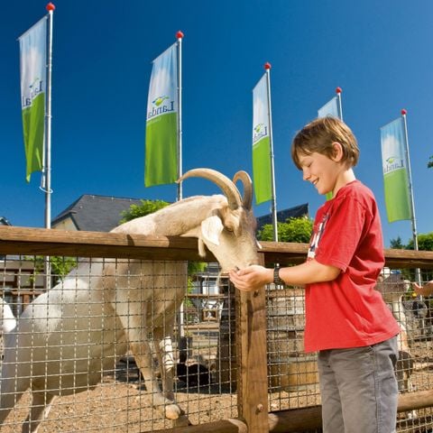Landal Mont Royal - Camping Rijnland-Palts - Afbeelding N°3