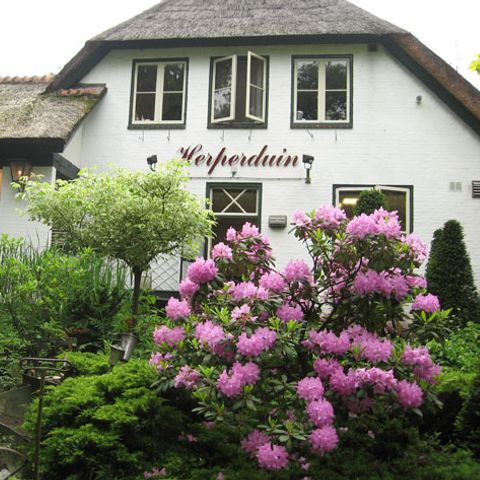 Hogenboom Vakantiepark Herperduin - Camping Oss - Afbeelding N°3
