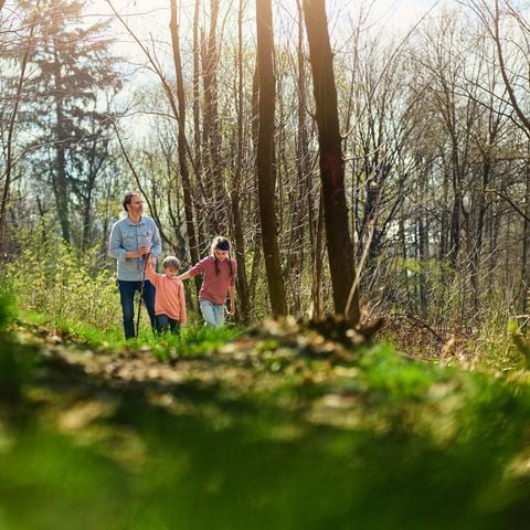Center Parcs Park Hochsauerland - Noordrijn-Westfalen - Afbeelding N°6