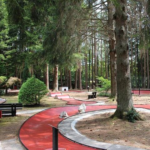 Ferienpark Hambachtal - Rijnland-Palts - Afbeelding N°5