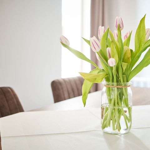 Bungalow 4 personen - Comfort