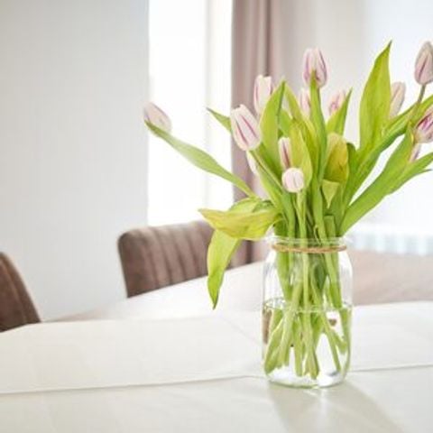 Bungalow 4 personen - Comfort