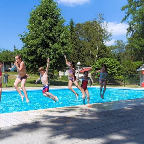 Oostappen park Heelderpeel - Camping Maasgouw - Afbeelding N°4