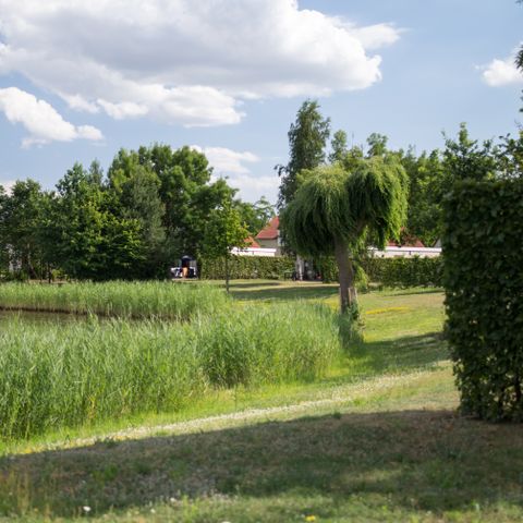 Resort Boschmolenplas - Camping Maasgouw - Afbeelding N°3