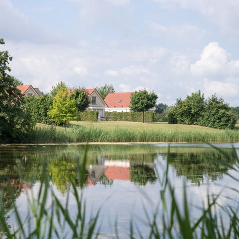 Resort Boschmolenplas - Camping Maasgouw - Afbeelding N°2