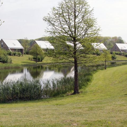 Maaspark Boschmolenplas - Camping Maasgouw - Afbeelding N°5