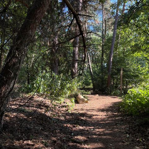 Bungalow 2 personen - Wood Lodge Eco Bungalow 2 personen - Wood Lodge Eco