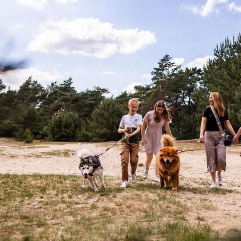 Bungalow 4 personen - Heide Lodge Eco Bungalow 4 personen - Heide Lodge Eco