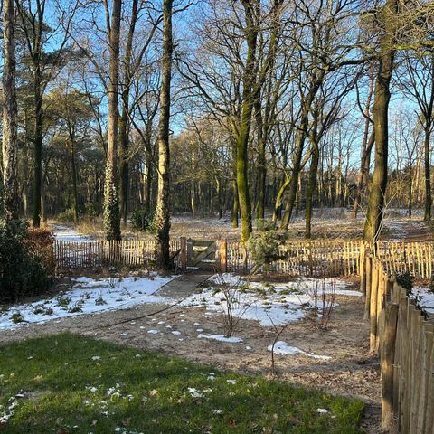 Bungalow 4 personen - Natuur Lodge Eco met Hottub en Sauna