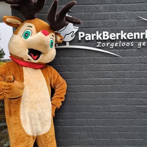 Park Berkenrhode - Camping Ede - Afbeelding N°6