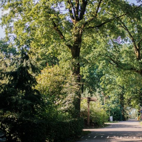 Park Berkenrhode - Ede - Afbeelding N°6