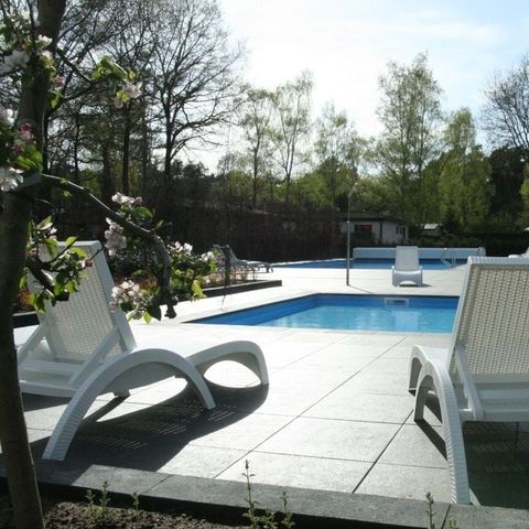 Park Berkenrhode - Camping Ede - Afbeelding N°3