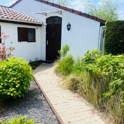 Zeepark Bredene - Camping West-Vlaanderen - Afbeelding N°3