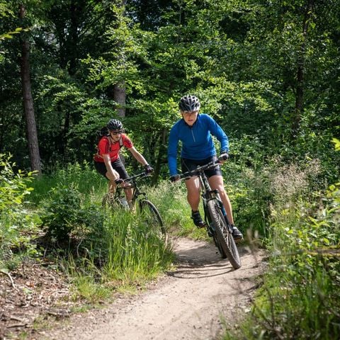 Landal Amerongse Berg - Camping Utrechtse Heuvelrug - Afbeelding N°6