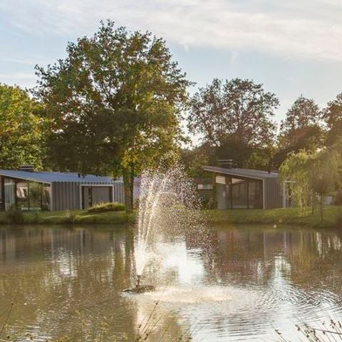 Landal Amerongse Berg - Camping Utrechtse Heuvelrug - Afbeelding N°3