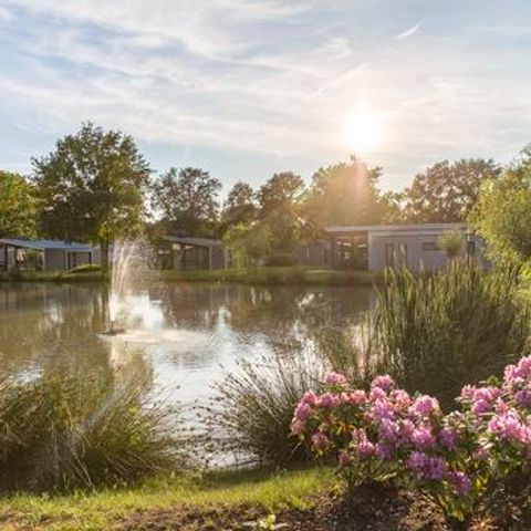 Landal Amerongse Berg - Camping Utrechtse Heuvelrug - Afbeelding N°2