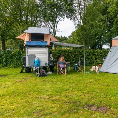 Kampeerplaats - Standaard