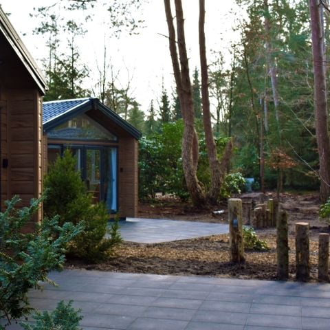 Chalet 4 personen - Forest Cottage