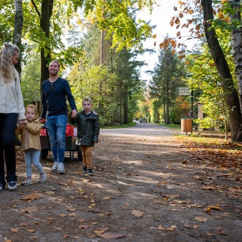 Recreatiepark De Paalberg - Ermelo - Afbeelding N°6