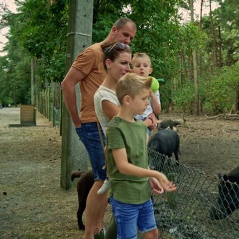 Park Molenheide - Camping Belgisch Limburg - Afbeelding N°6