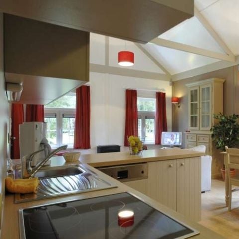 Bungalow 4 personen - Oasis