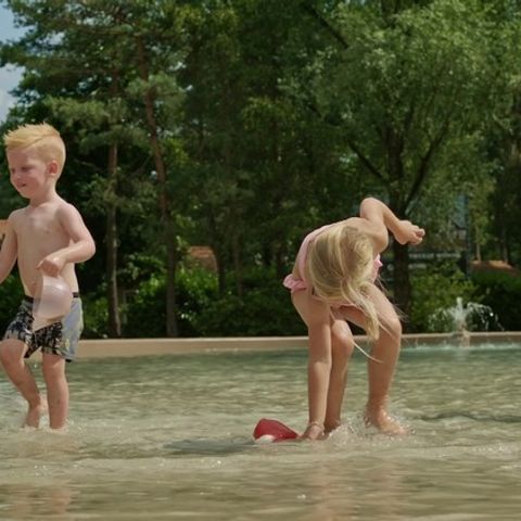 Park Molenheide - Camping Belgisch Limburg - Afbeelding N°3