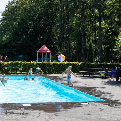 Recreatiepark De Voorst - Camping Noordoostpolder - Afbeelding N°3
